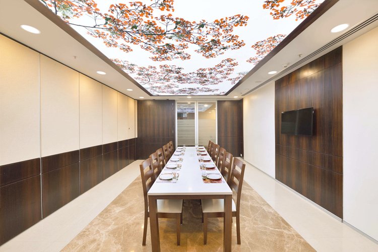 Modern Ceiling Design Kanpur